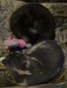 DSC01587_.jpg