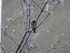 DSC01594_.jpg