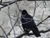 DSC01595_.jpg