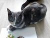 DSC01606_.jpg