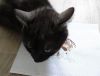 DSC01610_.jpg