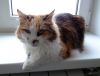 DSC01612_.jpg