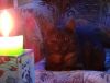 DSC01640_.jpg