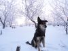 DSC01950.JPG