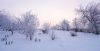 DSC01953.JPG