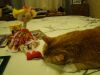 DSC04455.JPG