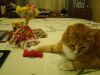 DSC04456.JPG