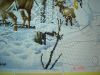 DSC04840.JPG