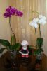 DSC05036.JPG