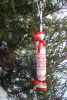DSC05038.JPG