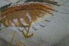 DSC05067.JPG