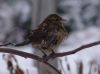 DSC08110.JPG