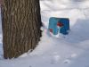 DSC08961.JPG