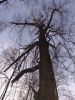 DSC08973.JPG