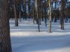 DSCN0266.JPG