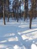 DSCN0268.JPG