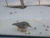 DSCN0289.JPG
