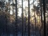 DSCN0333.JPG
