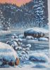 DSCN5779.JPG