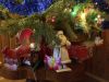 IMG-20161230-WA0014.jpg