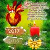 IMG-20170101-WA0000.jpg