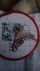 IMG_20161126_095516.jpg