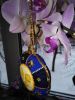 IMG_20161205_112938.jpg