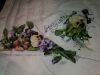 IMG_20161206_171917476.jpg