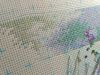 IMG_20161217_194443.jpg