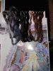IMG_20161221_160112451.jpg