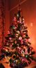 IMG_20161225_195900-1.jpg