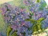IMG_20161228_203929.jpg