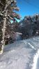 P_20161217_123626.jpg