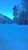 P_20161217_145234.jpg