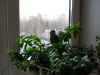 SDC15947.JPG