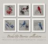 anteprima-birds-and-berries-WEB.jpg