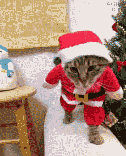 dzen.gif