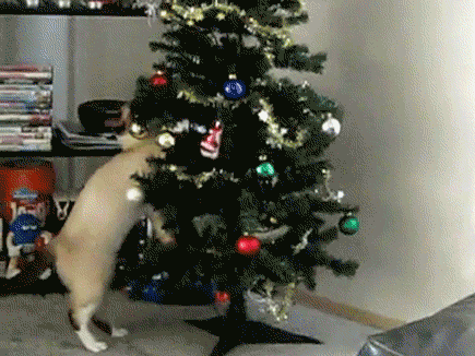 f598cb6ec95ba4b1a2aaeb31b366e2.gif