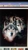photo_146451835.png