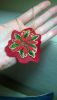 wp_20161219_10_49_13_pro.jpg