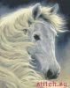 Kustom Krafts 98827, Midnight Glow- White Horse