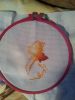 20160305_012726.jpg