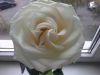 20160926_114011.jpg