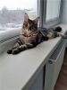 20161222_093755.jpg