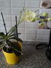 20170107_131624.jpg