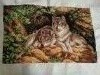 20170107_200409.thumb.jpg.2e97f9d92e031dc4c835310758870e4c.jpg?1483801984560