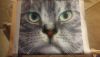 20170115_225244.jpg.92e8a01d98f7c585bbd55576f6f68d6b.jpg
