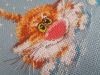 20170121_143654.jpg