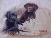 20170126_074616.jpg.63a5bcf4514c0249b09d6190c805cbf3.jpg