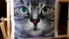 20170129_222603.jpg.743a48853fc5da68eeaeaa507f7d567b.jpg